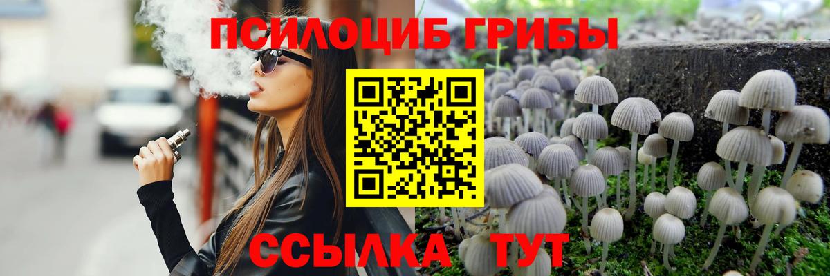 Псилоцибиновые грибы Cubensis Воронеж